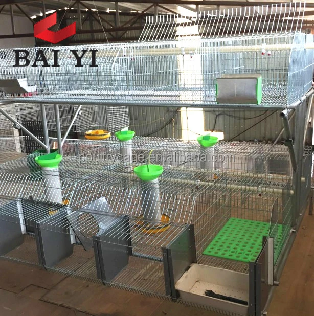 High Quality Rabbit Breeding Cages With Rabbit Drinker For Sale
