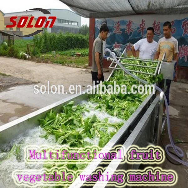 Best sale stainless steel ozone generator fruit and vegetable washer for cleaning vegetables