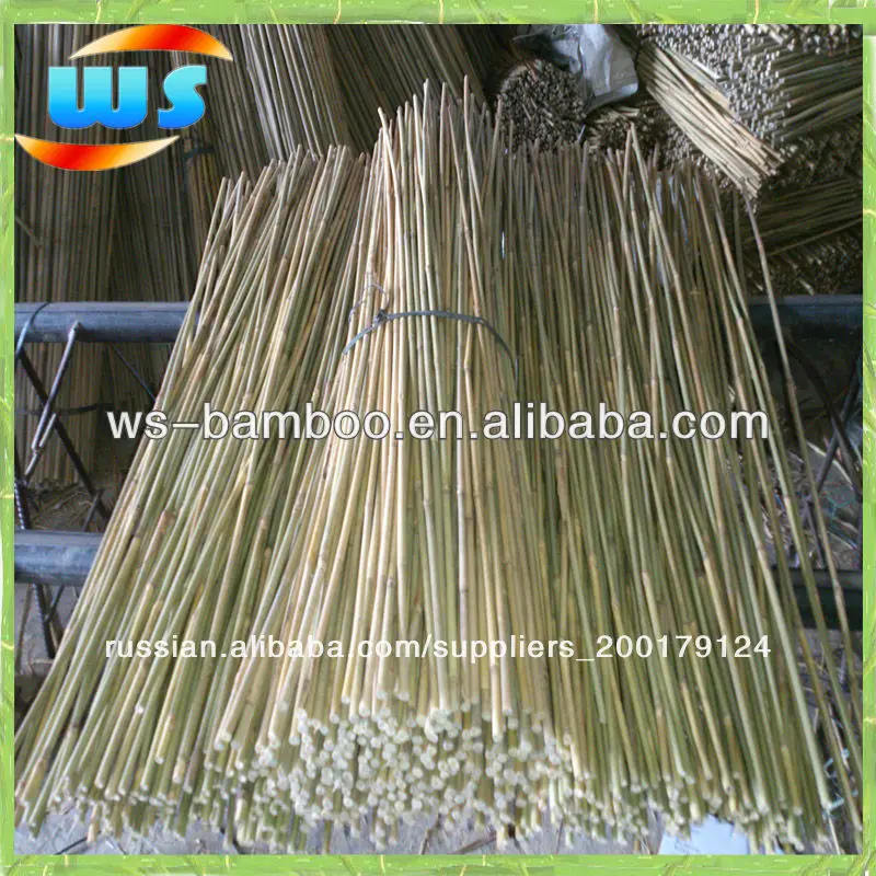 тонкинском бамбука cane120cm 10-12mm