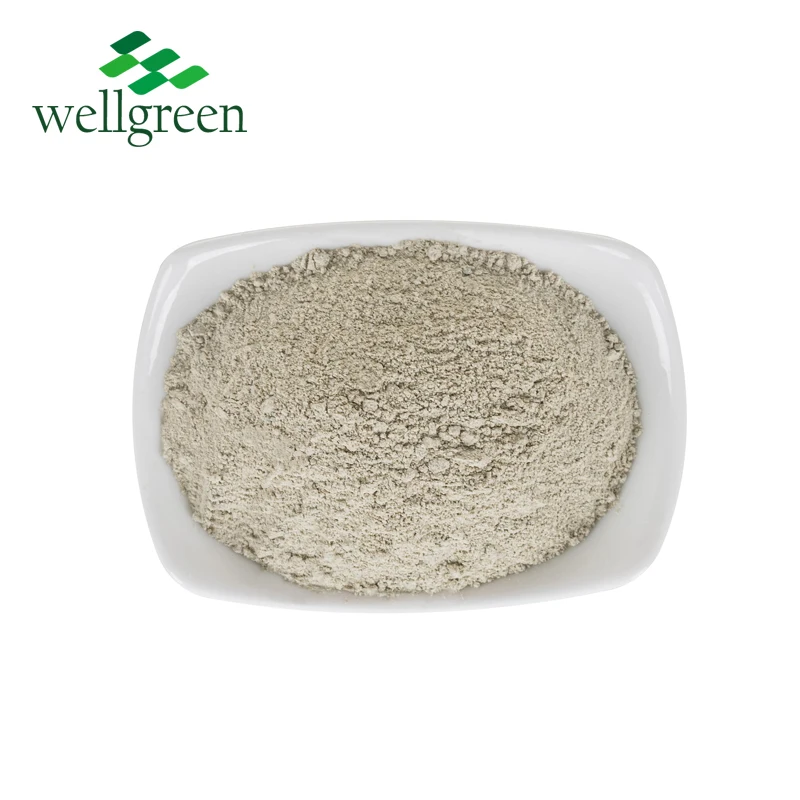 
High Quality Feed Grade Zeolite Clinoptilolite powder Feed Additive for Aquaculture 