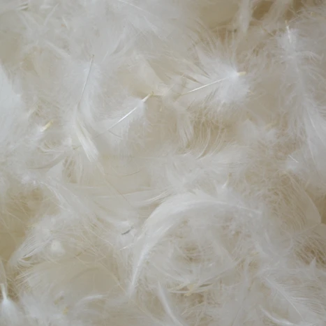 Bulk white duck feather pure washed filling material for cushion mattress