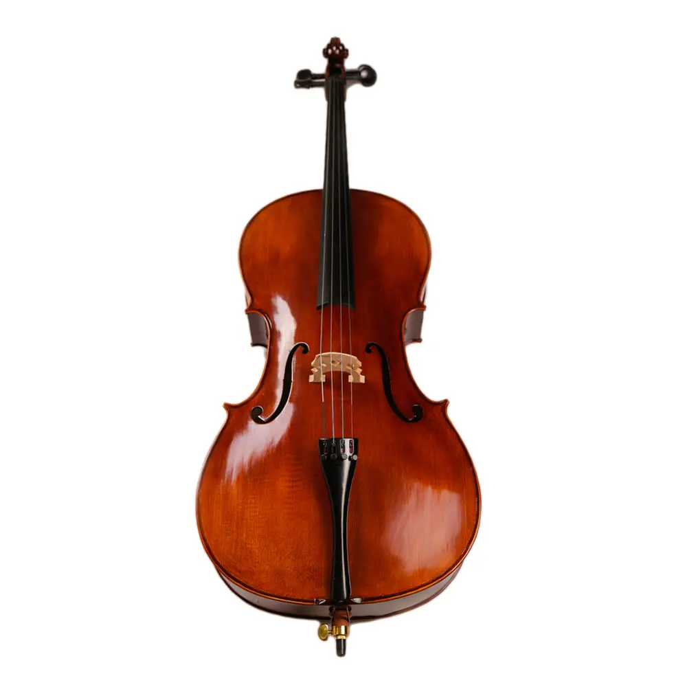 Musical Instrument Types 4/4 Popular Cello