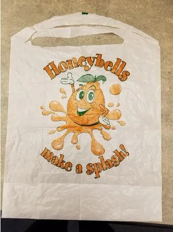 Disposable plastic lobster bibs with pocket