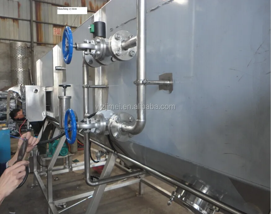 
bean etc vegetable Stainless steel spiral type blanching machine 