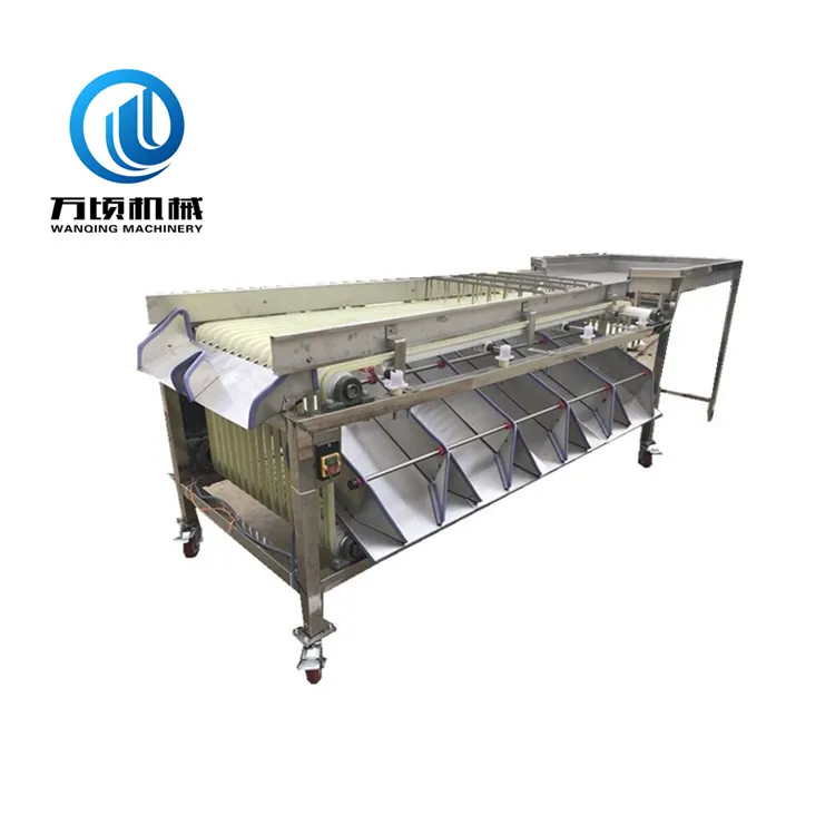 
Medjool date grading machine automatical sorted jujube dattes plums and similar fruit processing 