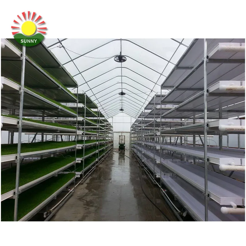 New arrival green fodder machine hydroponic fodder trays