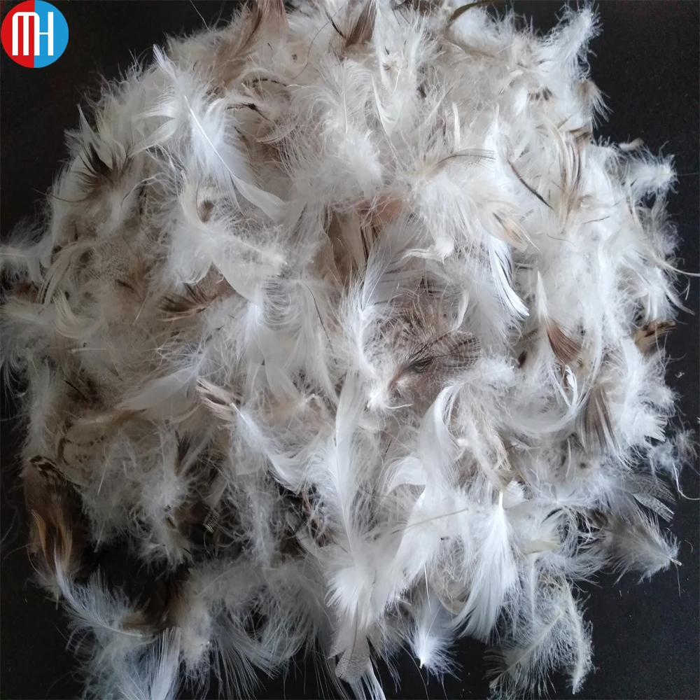 High quality and cheap grey goose/duck feather price from china