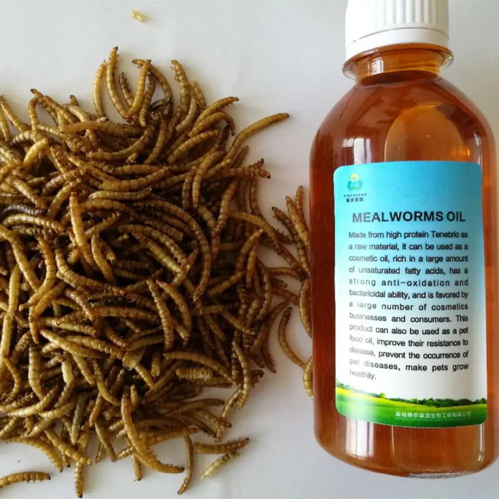 
Insect oil mealworms oil fish meal oil 