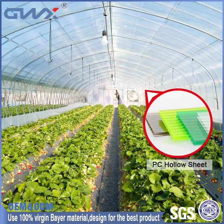 Bayer 12mm Clear Polycarbonate Panel Double Wall Plastic Roof Sheets Greenhouse Plastic