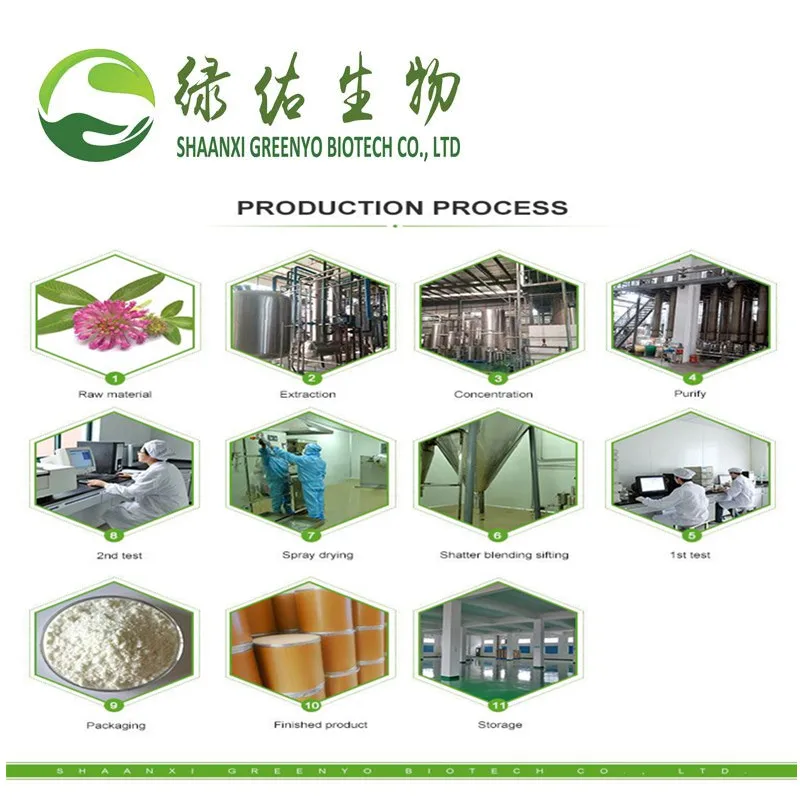 
Best Quality Hempseed Protein Hemp Seed P.E. Powder Hemp Seed Extract 