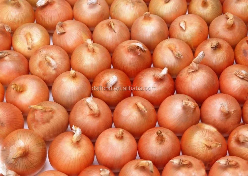 Chinese cheap good fresh onion for sale