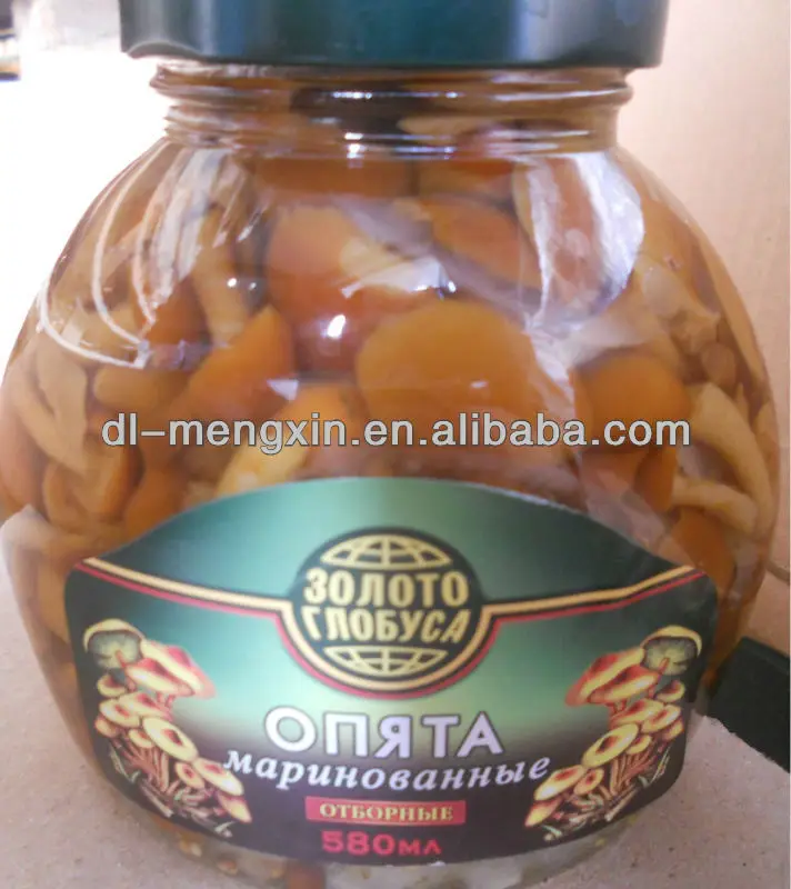 factory price Canned mushroom nameko