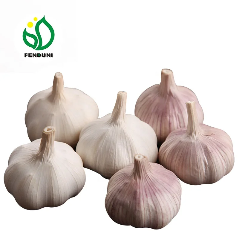 
China fresh Garlic Supplier , New Crop Low Price 