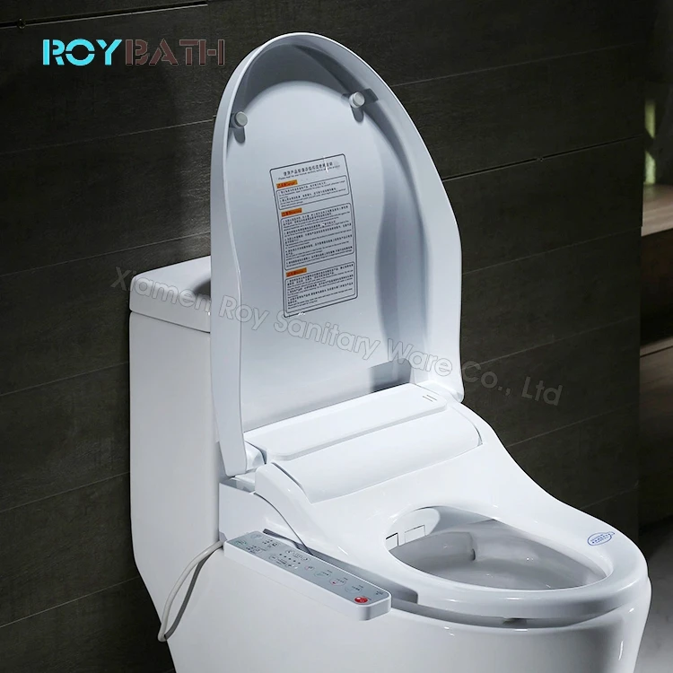 Smart Electric Toilet Seat Bidet