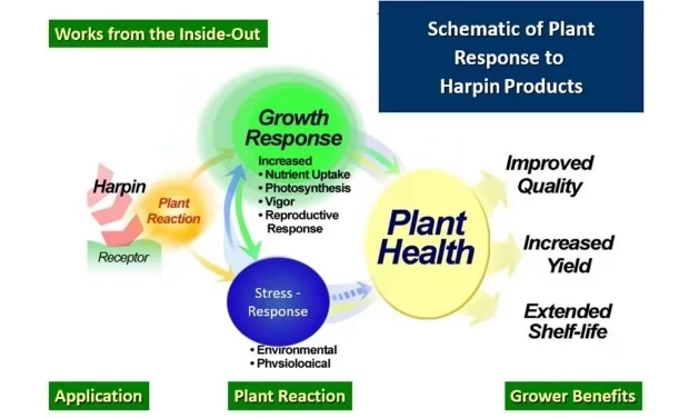 
liquid harpin protein for healthy plant 