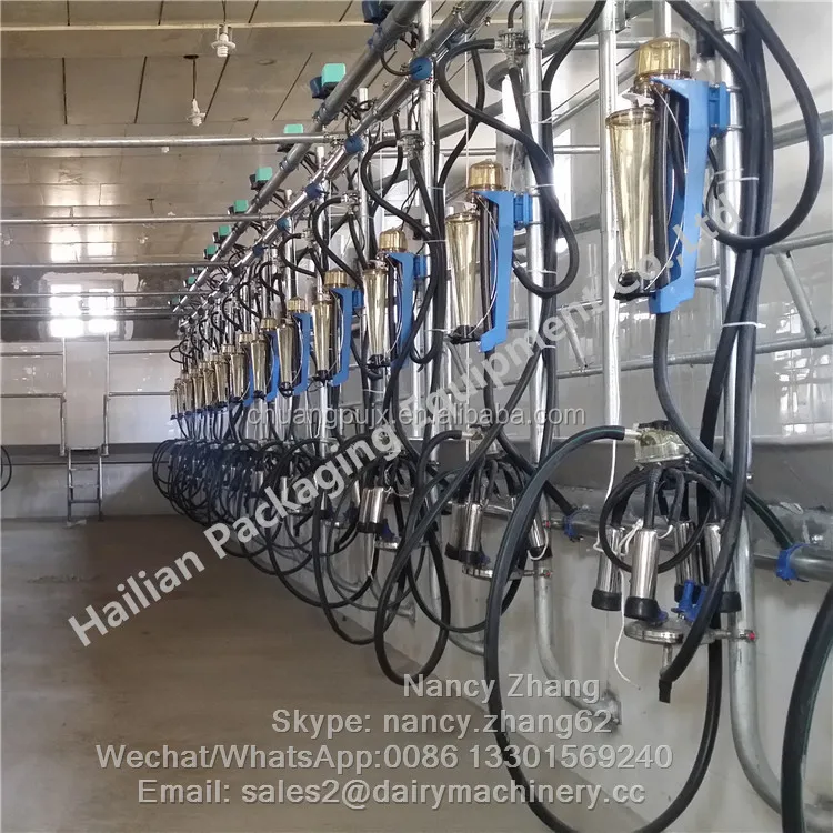 65lb Milk Flow Meter Herringbone Cow Milking Parlour System