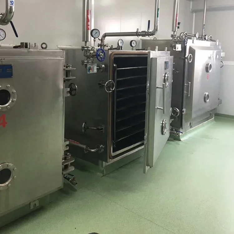 FZG model industrial fruit tray vacuum dryer machine