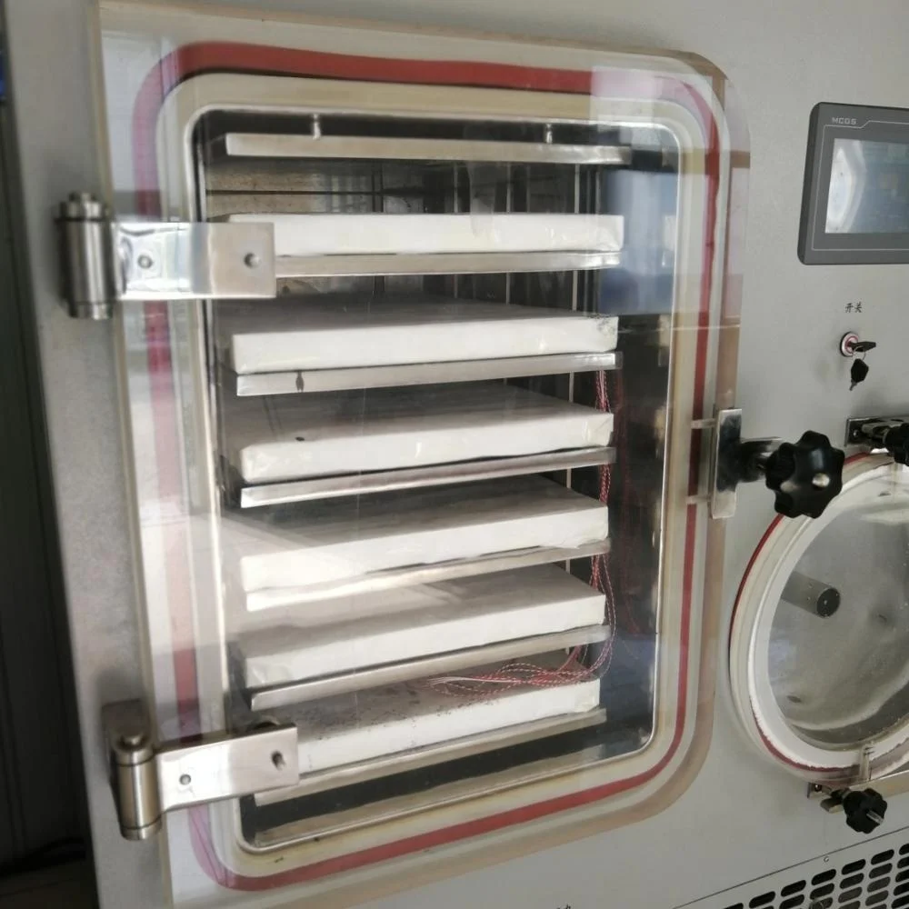 Portable Homemade Liofilizator Mini Lyophilizer Freeze Dryer Lyophilizer For Making Pet Food