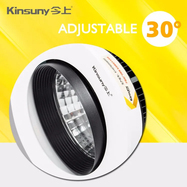Plastic Factory 2 Inch Gimble COB Led Downlight as Ceiling Light