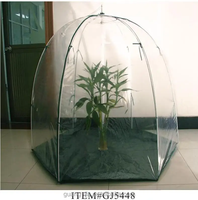 greenhouse grow tent