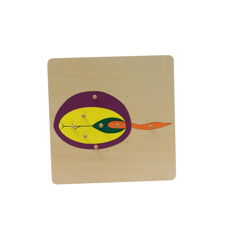 High Quality Diy Puzzle Baby Montessori Equipment Aids Toys Montessori Wooden Shape Puzzle Toy Flower Puzzle