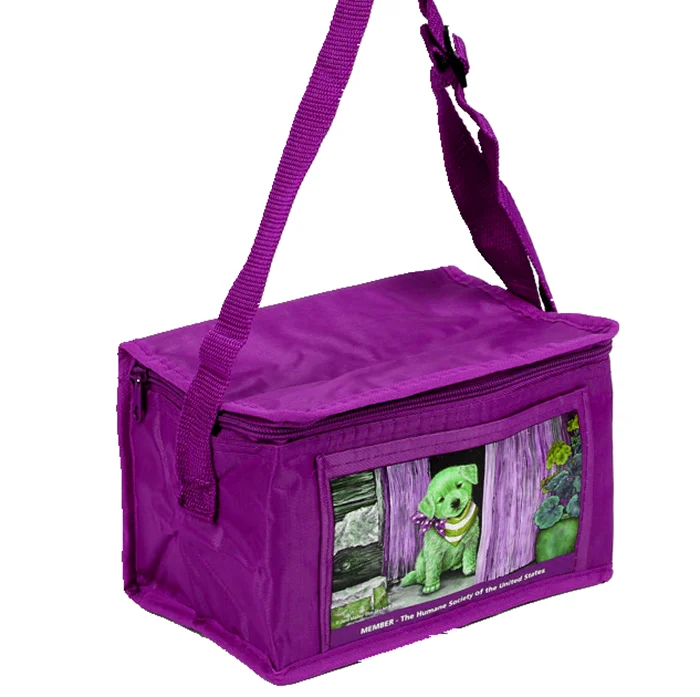 In many styles wholesale newest delivery ice cream cooler bag