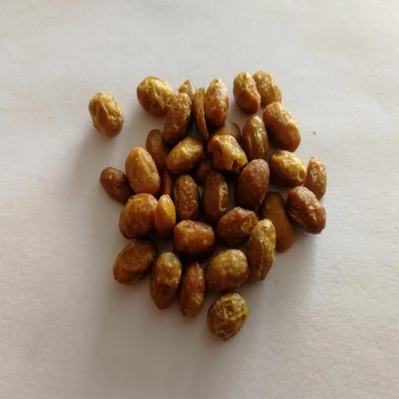 
Bacillus natto FD natto 