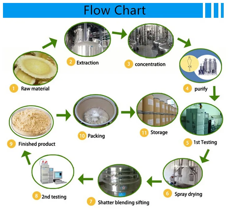 
Yucca Manufacturer Provide Yucca Plant Extract 