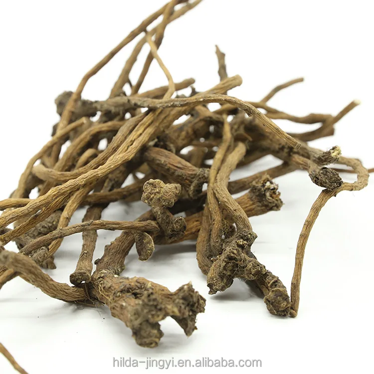 Factory Supplied Dried Dandelion Root, Natural Taraxacum