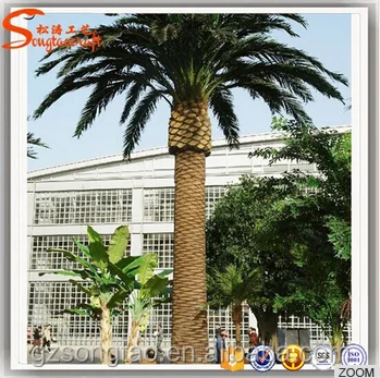 Newest Garden Dates in Dubai Quality Date Palm Saudi Arabia Factory Direct Artificial Date Palm