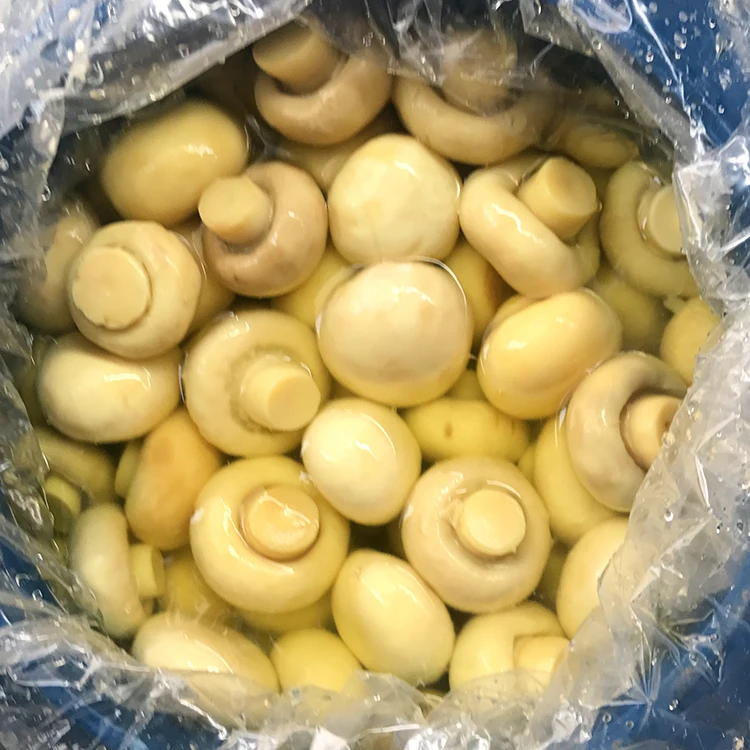 
Whole Mushroom Agaricus in Conserve 