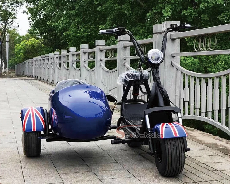 3 wheel electric scooter fat tire city coco electric motorcycle electric scooter 1500w 2 seat city coco scooter