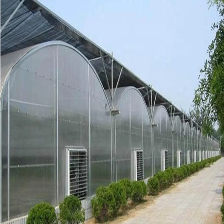 
Large multi-span polycarbonate and galvanized steel griculture greenhouse kit tunnel with hydroponic system 