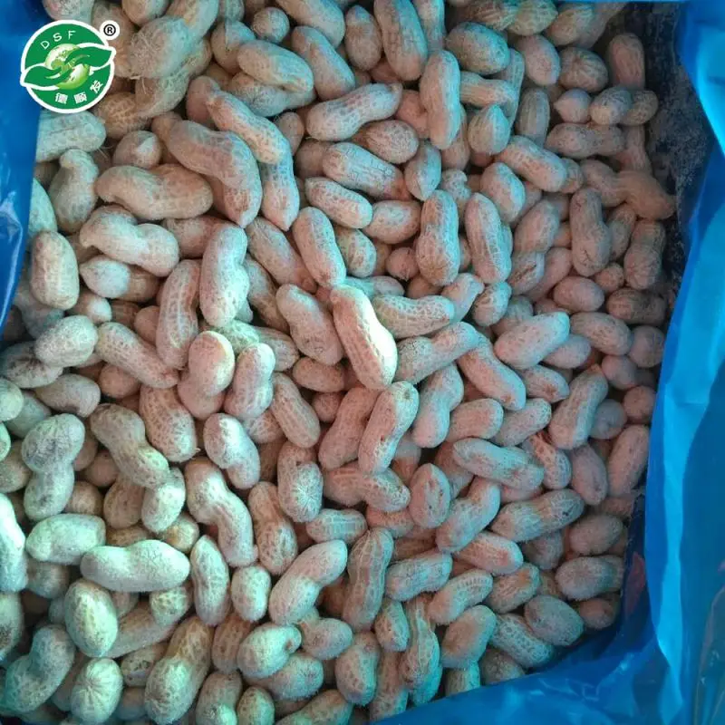  Стандартная экспортная упаковка HACCP замороженные овощи и арахис с красной кожей