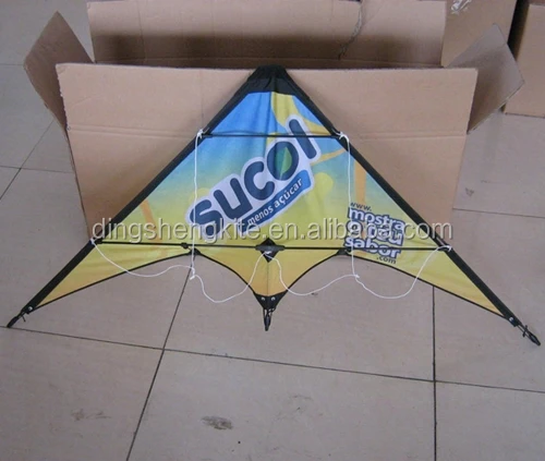 China manufacturer double line customized stunt kites