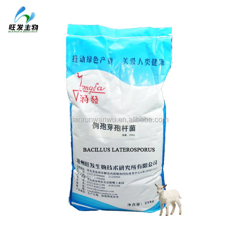 Bacillus laterosporus