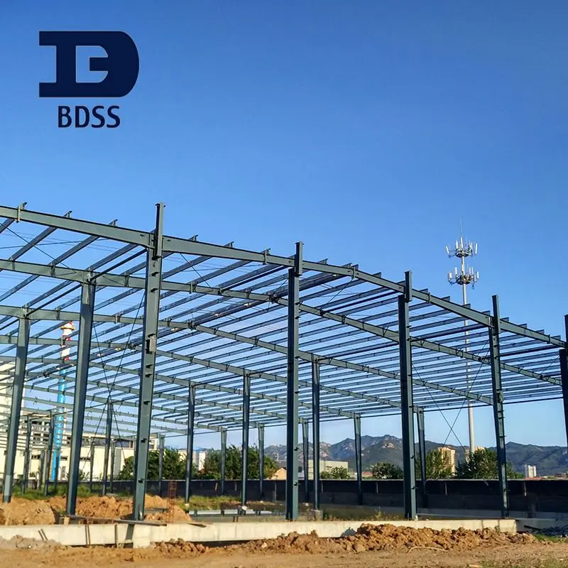 
China Design Steel Aircraft Hanger/Warehouse/Workshop Building 