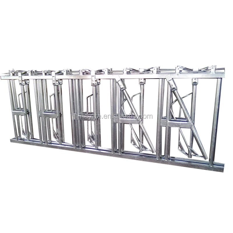 Livestock cattle panel equipment dairy cow headlock for sale