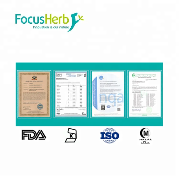 
FocusHerb supply Gamma Amino Butyric Acid, GABA 99% 