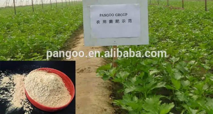 PGPB/01 PANGOO Soil Conditioner