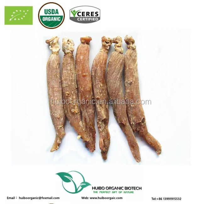  Оптовая продажа сертифицированный корень красного женьшеня в Корее 5 лет по лучшей цене