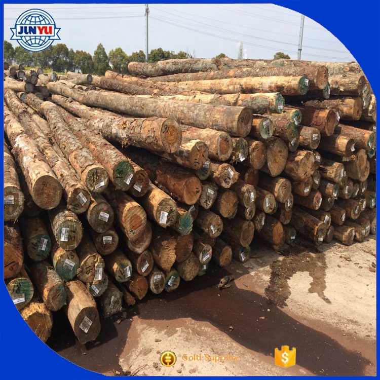 kaingaroa logging company export log uses for pine logs pinus radiata australia
