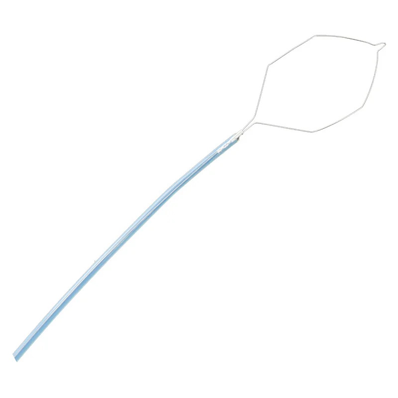 Endoscopic Electronic Polypectony Snare With Different Shapes