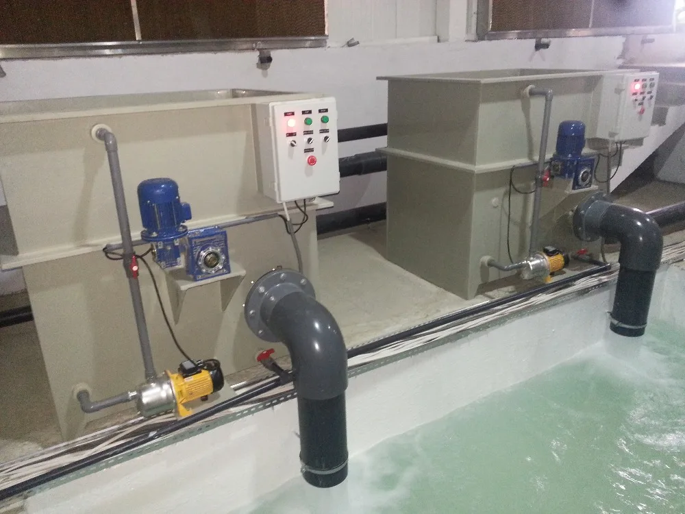 Fish Farm Rotary Type Drum Filter For Aquaculture