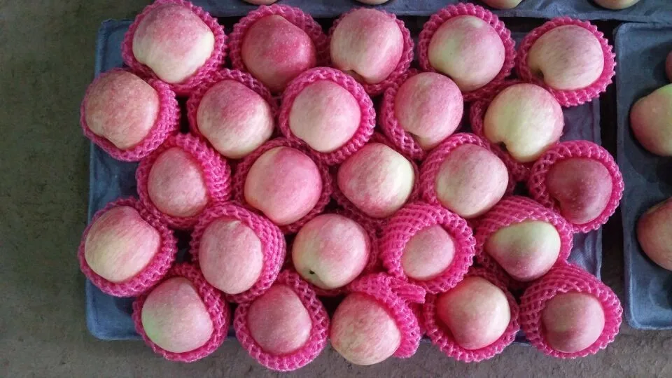 Chinese fresh fruits red delicious fuji apples