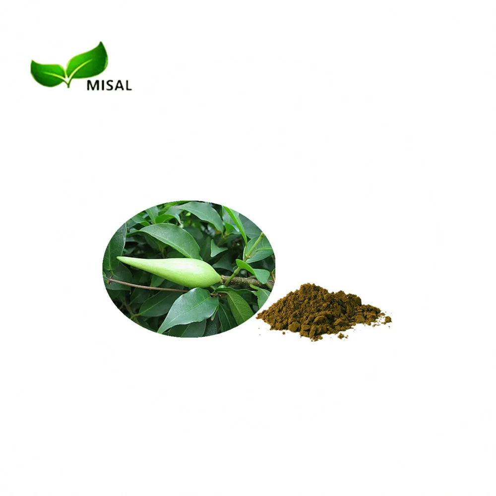 Factory supply Gymnemic Acid 25% 75% Gymnema Sylvestre Extract