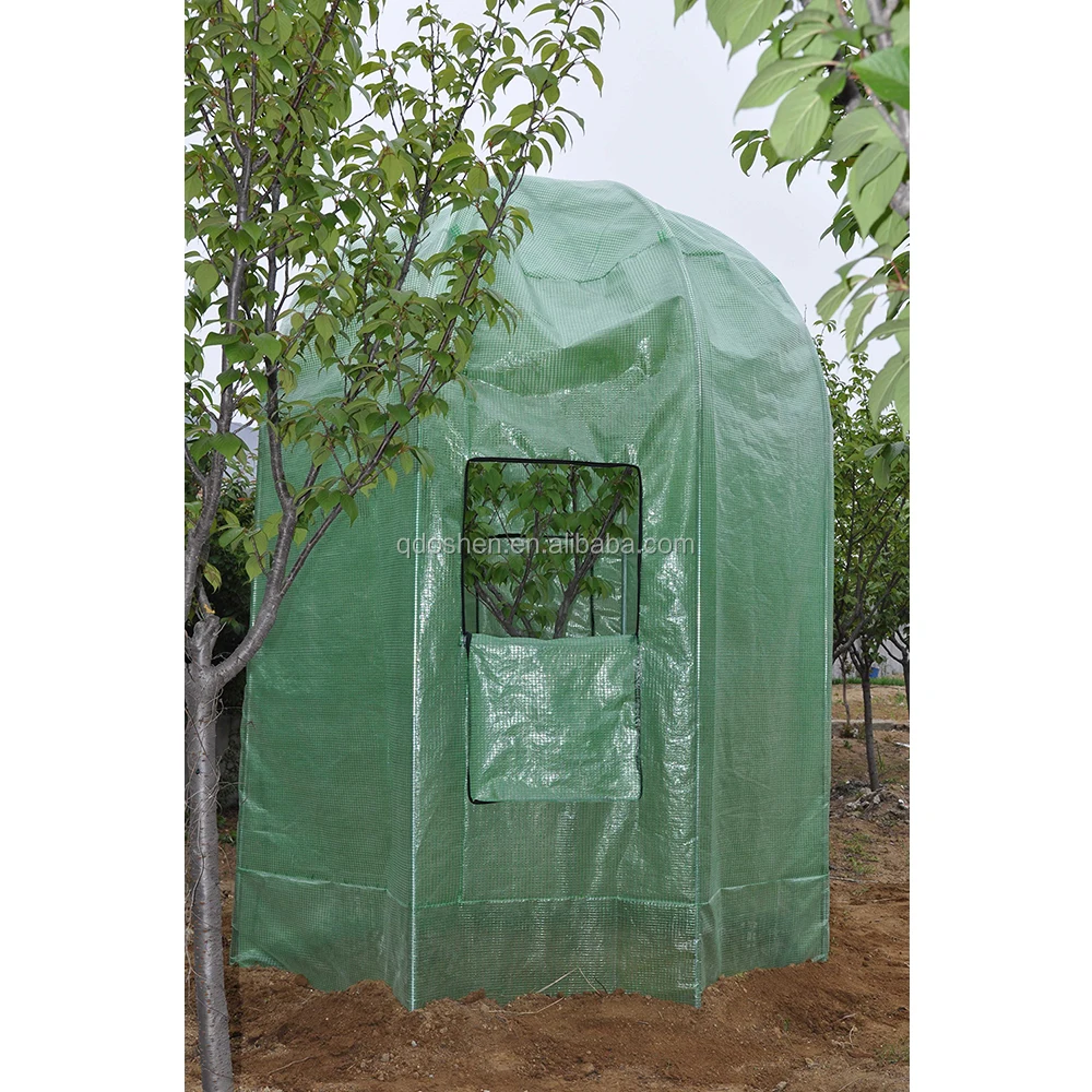 Tree Greenhouse Plant  Growing Tent House