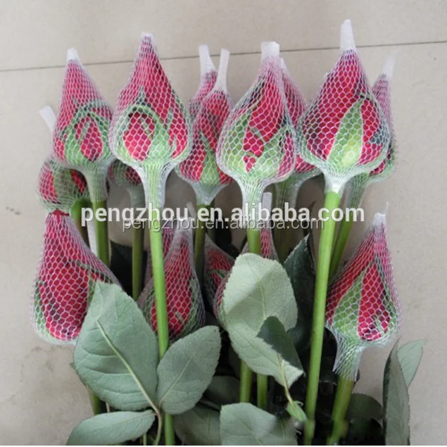
High quality rose bud protective packaging netting / flowers protection net (factory & export) 