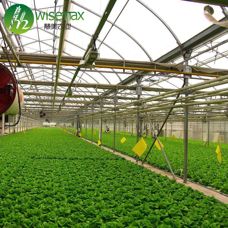 Low cost multi span comercial greenhouse kits/commercial greenhouse