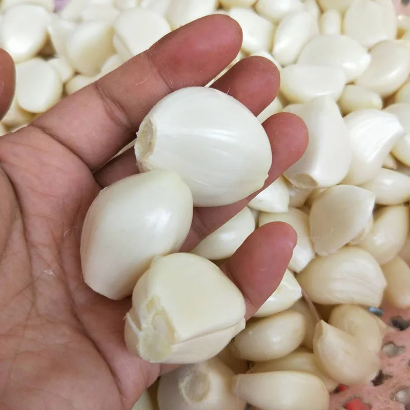 
Factory direct selling Hot sale Fresh Peeled Garlic with vacuumize packing 